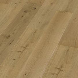 Oak No 15 - Kensington